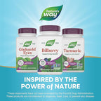 Nature's Way Bilberry Premium Extract, Supports Eye Health*, Eye Health Supplement for Adults with Black Elderberry*, Bilberry Supplement, Gluten Free, Vegan, 90 Capsules (Packaging May Vary)