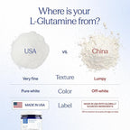 Essential Stacks Gut L-Glutamine Powder - Exclusively Made in USA - Pure L Glutamine Powder for Gut Health (60 Servings, Unflavored)
