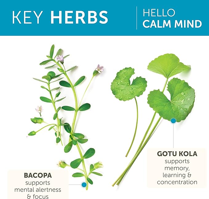 Himalaya Hello Calm Mind Herbal Supplement, with Bacopa, L-Theanine, Gotu Kola, Supports Concentration & Focus, Cognitive Function, Clear Thinking, Relaxation, Vegan, Gluten Free, 60 Capsules