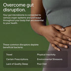 Seed 14 Day Gut Reset - Prebiotic and Probiotic for Women & Men - Digestive Health, Gut Health, Rapid Gut Recovery, Bloating & Constipation Relief - Vegan & Shelf-Stable - 28 Capsules (14-Day Supply)