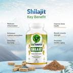 LEAFSOURCE Shilajit with Humic & Fulvic Acid (120 Capsules) with Trace Minerals, Electrolytes, Vitamins, Supports Energy, Gut & Joint Health, Absorb Nutrients