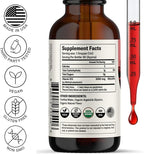 Nursh+ Boost Sublingual Vitamin B12 Liquid Drops – Extra Strength 5000 mcg Methylcobalamin for Energy Boost & Daily Wellness, Fast Absorbing, USDA Certified Organic & Vegan, 2 fl oz