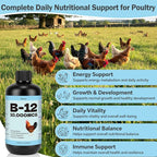 Vitamin B12 Liquid for Poultry, 10000 MCG Nutritional Supplement for Chickens, Supports Daily Vitality & Development, Liquid Vitamin Feed Additive for Hens, Roosters, Ducks, Geese & Turkeys