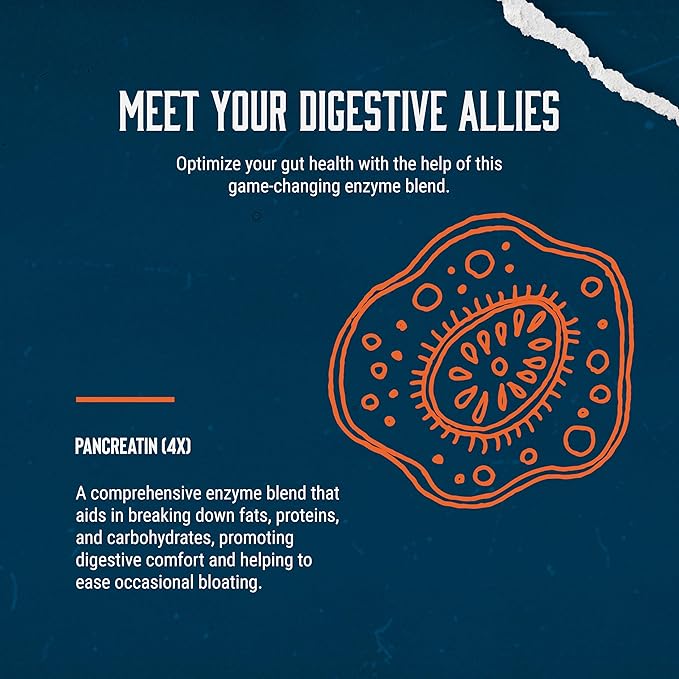 Pure Digestive Enzyme Capsules with Lipase Amylase Protease - Aids Digestive System Natural Immune System Booster - Breaks Down Carbohydrates Reduce Bloating Gas Digestive Enzymes Pills