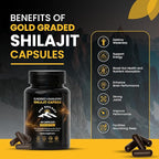 120 Days Naturally Sun-Cured Himalayan Shilajit Capsules | Gold Grade Above 18,000 FT | Organic | 85+ Natural Minerals | Rich in Fulvic & Humic Acid | Men & Women | 40 Capsules