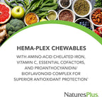 NaturesPlus Hema-Plex Iron - 60 Mixed Berry Chewables - 85 mg Elemental Iron - Total Blood Health - with Vitamin C & Bioflavonoids - Vegan, Gluten Free - 20 Servings