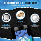 Animal Creatine Chews – Enhanced Creatine Monohydrate Chewable Tablets with AstraGin & Sea Salt, Max Absorption Pre Post-Workout, Lean Muscle Growth, Strength & Recovery, New Flavor Candy Crush’d