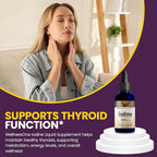 WellnessOne Iodine Drops for Thyroid Support - Fast Acting Liquid Iodine Supplement from Potassium Iodide - Great for Immunity & Cognition & Maximizes Iron Absorption - 1.67 fl oz