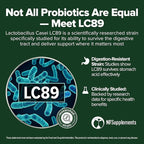 Lactobacillus Casei Probiotic 240 Tablets (4 Month Supply) - 3 Billion CFU - Studied Strain LC89 - Digestive Health & Bowel Support - GMP Certified (240, Lactobacillus Casei)