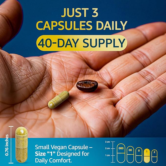 Organic Lions Mane Supplement Capsules - 240 Real Mushrooms Lion's Mane Capsules with Ginkgo Biloba Herb, Bacopa Monnieri, L Theanine, L Tyrosine - Mushroom Complex for Daily Wellness