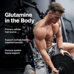 MuscleTech Glutamine Powder | 100% Pure L Glutamine Powder | Post Workout Recovery Drink | L-Glutamine Powder for Men & Women | Muscle Recovery | Unflavored (60 Servings)