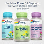 SOLARAY Dandelion Root Supplement - Healthy Kidney and Liver Support - 1,040 mg per Serving - Vegan, Lab Verified, 60-Day Guarantee - 90 Servings, 180 VegCaps
