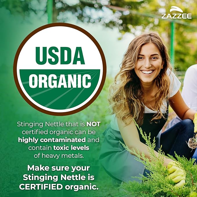 Zazzee Organic Nettle Leaf and French Maritime Pine Bark Extract Capsules | 20:1 Stinging Nettle Extract Plus French Pine Bark | Prostate Support Bundle