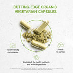 Secrets of the Tribe Coriander Seed 120 Capsules, Made with Vegetable Capsules and USDA Organic Coriander Dried Seed (120 Capsules)