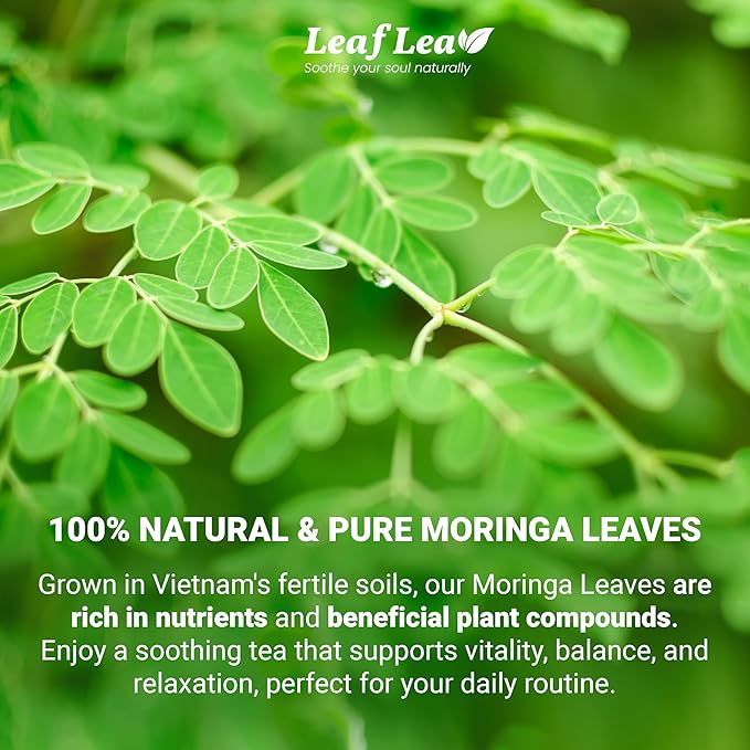 LeafLea 40 Moringa Tea Bags, 100% Natural and Pure Moringa Leaf Herbal Tea, Supports Digestion and Immune Health, Caffeine-Free, Sugar-Free, Vegan, Individually Wrapped for Freshness