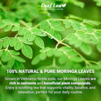 LeafLea 40 Moringa Tea Bags, 100% Natural and Pure Moringa Leaf Herbal Tea, Supports Digestion and Immune Health, Caffeine-Free, Sugar-Free, Vegan, Individually Wrapped for Freshness