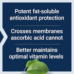 Life Extension Ascorbyl Palmitate 500mg – Fat-Soluble Vitamin C Supplement for Immune Support and Longevity – Water-Soluble Gluten-Free, Non-GMO, Vegetarian – 100 Capsules