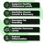 Species Nutrition Omegalyze Support Supplements, Essential Fatty Acid Formula, Supplement to Help Maximize Recovery, Omega 3,6 and 7 Formula,180 Capsules