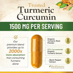 Turmeric Curcumin Supplement 1500mg - Organic Tumeric & BioPerine Black Pepper for Best Absorption with 95% Curcuminoids, Nature's Joint & Immune Support, Non-GMO, Bottled in USA - 240 Capsules