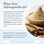 Youtheory Ashwagandha Liquid - with Organic KSM-66 Ashwagandha - Herbal Blend to Support Stress Relief & Energy Levels* - Helps Support Mood* - 1 oz Single Serve Packet, Pack of 30