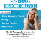 Force Factor Amazing Ashwa, KSM-66 Ashwagandha Supplement for Stress Relief, Focus, Memory, Immune Support, With Vitamins, Minerals & Antioxidants, Cortisol Supplements for Women, 240 Tablets (2-Pack)