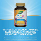 Nature's Way Kids Cool & Calm Gummies,Supports a Calm Mood in Kids Ages 8+*,Lemon Balm,Magnesium,Vitamin B6,L-Theanine,Grape Flavored,Vegetarian,(Packaging May Vary),40 Count (Pack of 2)