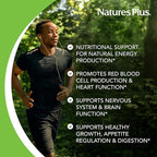 NaturesPlus Vitamin B1 300 mg - 90 Sustained Release Tablets - Mega-Dose Thiamin - Energy Support - Vegetarian, Gluten Free - 90 Servings