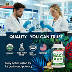 Peruvian Naturals Organic Maca Root Capsules for Women & Men, 2400 mg, 300 Vegan Pills with Black, Red & Yellow Root, Gelatinized, Non-GMO, Pack of 2