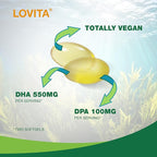 Lovita Algae Omega-3, Vegan and Plant-Based DHA & DPA, Fish Oil Alternative, 1000mg Algae Oil, Support Heart and Brain Health, Carrageen-Free, 90 Softgels (Pack of 3)