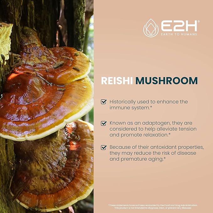 Reishi Mushroom Supplement - Faster Absorption Than Reishi Mushroom Capsules or Powder - Our Reishi Mushroom Extract Promotes Longevity - Reishi Mushroom Tincture - 2 Fl Oz by E2H