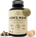 Lion's Mane Supplement Capsules with Turkey Tail for Memory & Focus – 10:1 Mushroom Extract, Brain Fog Support, 1200mg, Third Party Tested, Non-GMO, Vegan, Made in USA, 120 Capsules, 2 Month Supply