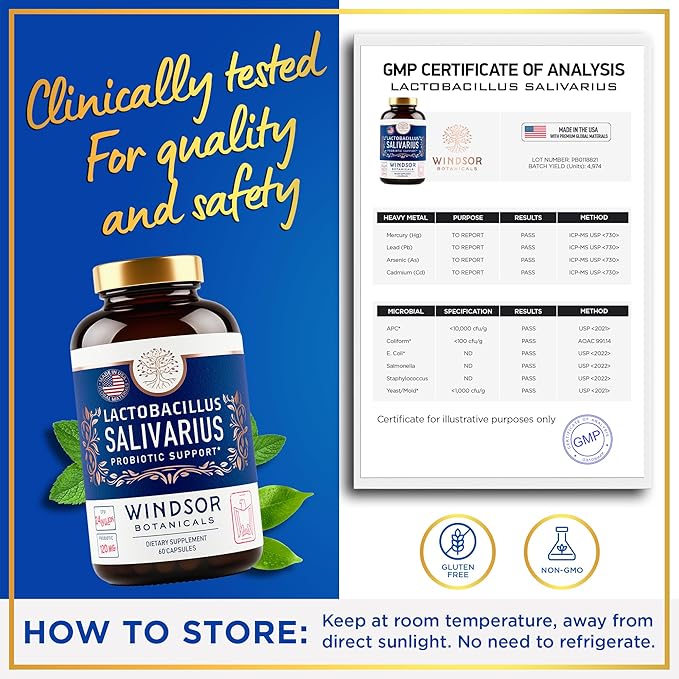 WINDSOR BOTANICALS Lactobacillus Salivarius Probiotic Capsules - L Salivarius Probiotic Oral Dental Probiotics for Bad Breath, Teeth and Gums Health and Immune Support - 24bn CFU, 3-Pack 180 Caps