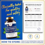 WINDSOR BOTANICALS Lactobacillus Salivarius Probiotic Capsules - L Salivarius Probiotic Oral Dental Probiotics for Bad Breath, Teeth and Gums Health and Immune Support - 24bn CFU, 3-Pack 180 Caps