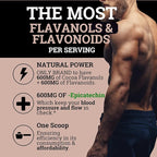 Black Forest High Flavanol Cocoa Powder (1200mg Flavanols & Flavonoids Supplements)10X More Flavanols (Epicatechin) Than Cocoa & 600mg of Epicatechin Supplement for Heart Health, Nitric Oxide & Energy