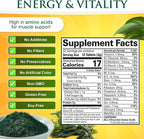 Sunlit Best Chlorella Spirulina Tablets - Organic USDA, Premium Spirulinas and Chlorella Capsules 500 Pills - Chlorellas Natural Superfood with Spirulina Algae, Enzymes Chlorophyll & Vegan Protein