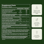 Seed AM-02 Energy + Focus - Daily Nootropic Supplement for Women & Men - Fast-Acting & Sustained Energy for Up to 6 Hours - Caffeine-Free Vegan & Shelf-Stable - 30 Capsules (30-Day Supply)
