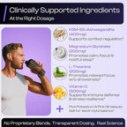 Vitalix – Cortisol Reducer & Adaptogen Drink Mix with Ashwagandha KSM 66, Magnesium Glycinate 200mg, L-Theanine 200mg, Vitamin C 500mg & Electrolytes – Raspberry Lemonade – 30 Servings