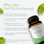 Cryptolepis Synergy, Immune Support Vitamins, Immune System Booster for Adults, Liver, Lymphatic, & Immune Support Supplement, Supports Lyme & Natural Parasite Defense, 120 Capsules, 3 Pack