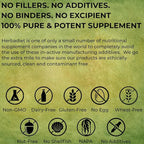 Herbadiet Bamboo Extract Powder | Supports Healthy Skin, Hair & Nails | Natural Hair Supplement with 70% Silica (50 gram / 1.76 oz)