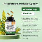 Sandhu's Mullein Capsules for Lungs with Quercetin | Mullein Leaf Extract Supplement for Immune, Lung & Respiratory Health Support | for Men & Women | 60 Count (Pack of 1)