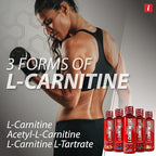 iSatori L-Carnitine LS3 1500, Triple-Blend Liquid L Carnitine Supplement, with Acetyl & Tartrate, Stimulant Free Energy, Low Calories, Sugar or Gluten, Keto-Friendly, Grape Flavor (32 Servings)