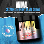 Animal Creatine Chews x Smarties Edition - 5g Creatine Monohydrate for Strength, Power, & Training Recovery Support with Sea Salt, Convenient Chewable Creatine Supplement for Men & Women - 120 Tablets