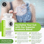 Intestinal Fortitude PREbiotic Gold: Kiwifruit Fiber, Butyrate & Prebiotic Restore Supplement to Support the Gut, Immune & Digestive Support, Anti-Bloating & Leaky Gut Repair, Dairy-Free Capsules
