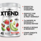 Xtend Original BCAA Powder, 7g BCAAs and 2.5g L-Glutamine for Muscle Recovery Hydration and Lean Muscle, Sugar Free Intra and Post Workout Drink with Electrolytes, Strawberry Kiwi Splash, 30 Servings