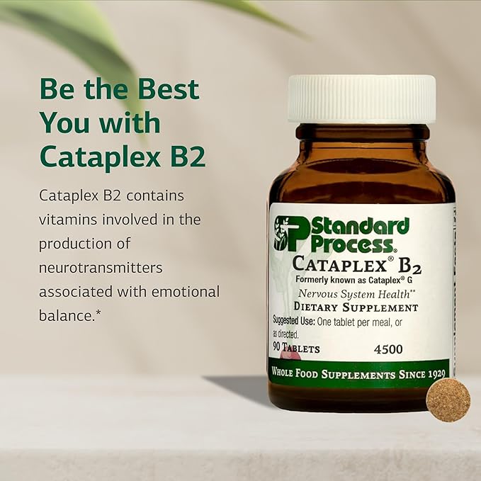 Standard Process Cataplex B2 - Support Nervous System, Brain & Nerve Health - Excellent Source of Vitamin B2 & B6 - Non-Dairy & Non-Soy - 90 Tablets (90 Servings)