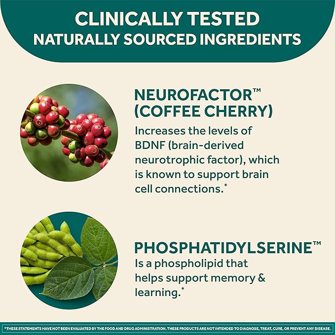 NEURIVA Original Brain Supplement for Memory, Focus & Concentration + Learning & Accuracy with Clinically Tested Nootropics Phosphatidylserine and Neurofactor, Caffeine Free, 30ct Capsules