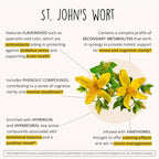 Joy-Filled Mood Support Supplement - 7 Herb Complex + St. Johns Worts (120 Ct) | Stress Relief Supplement with Rhodiola Rosea, Eleuthero | Helps Calm The Mind & Body | 100% Plant-Based Happy Pills