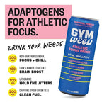 GYM WEED Athletic Focus Drink with KSM-66 Ashwagandha, Lion's Mane Mushroom, L-Theanine, 200mg Green Tea Caffeine with Natural Sweeteners Tropical Punch Flavor, 12 Pack