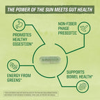 Sunwarrior Probiotics Soil-based Vegan Capsules | 10 billion CFU for Digestion Soy Free Gluten Free Dairy Free | 30 CT