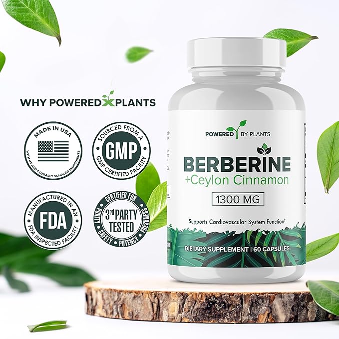 Pure Berberine Supplement - 1300mg Berberine with Ceylon Cinnamon for Metabolism & Immune System Support - 2 Pack, 120 Servings
